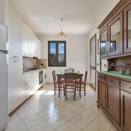 Solaris By Barbarhouse